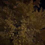 ことは 趣味 天空のマット　熊本店