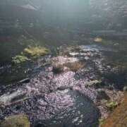 ヒメ日記 2026/01/02 12:19 投稿 ことは 天空のマット　熊本店