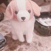 ヒメ日記 2025/11/03 21:36 投稿 らいむ ときめき女学院