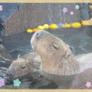 ふみか いよいよ師走。 新宿ミセスラウンジ東京