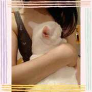 ヒメ日記 2025/12/12 20:01 投稿 ふみか 新宿ミセスラウンジ東京