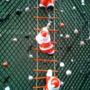 ヒメ日記 2025/12/24 11:52 投稿 ふみか 新宿ミセスラウンジ東京