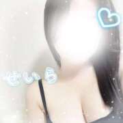 ヒメ日記 2026/03/24 18:45 投稿 小林　せいら NADIA東京新橋店