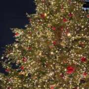 ヒメ日記 2025/11/21 22:02 投稿 はゆ Smart(スマート)