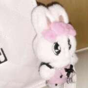 ヒメ日記 2026/01/19 11:27 投稿 はゆ Smart(スマート)