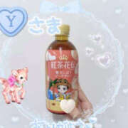 ヒメ日記 2025/10/28 23:33 投稿 新人プリンちゃん ラブチャンス