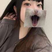 ヒメ日記 2025/10/26 13:05 投稿 まきな ドキドキＮＴＲ寝取られ生電話