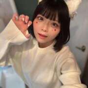 ヒメ日記 2025/11/25 19:20 投稿 きなこ 君を舐めたくて学園