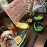 ヒメ日記 2025/11/05 12:51 投稿 いぶ 逆電車ごっこ ～GLAMOROUS TRAIN～