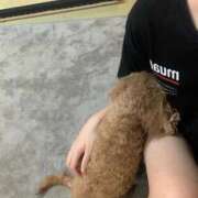 ヒメ日記 2025/11/06 14:30 投稿 いぶ 逆電車ごっこ ～GLAMOROUS TRAIN～