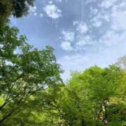 ヒメ日記 2025/11/24 18:36 投稿 いぶ 逆電車ごっこ ～GLAMOROUS TRAIN～