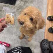 ヒメ日記 2026/01/10 19:20 投稿 いぶ 逆電車ごっこ ～GLAMOROUS TRAIN～