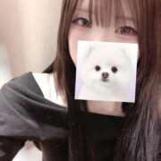 ヒメ日記 2026/03/28 14:36 投稿 いぶ 逆電車ごっこ ～GLAMOROUS TRAIN～