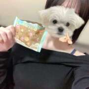 いぶ 今日も🫶 逆電車ごっこ ～GLAMOROUS TRAIN～