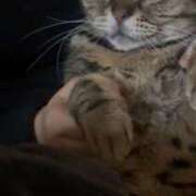 ヒメ日記 2025/11/26 20:10 投稿 りな 逆電車ごっこ ～GLAMOROUS TRAIN～