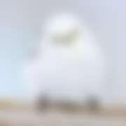 ヒメ日記 2026/04/27 15:07 投稿 麻宮わかば 色気あるワイフ