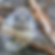 ヒメ日記 2026/04/28 15:25 投稿 麻宮わかば 色気あるワイフ