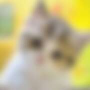 ヒメ日記 2026/05/07 20:06 投稿 麻宮わかば 色気あるワイフ