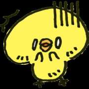 ヒメ日記 2025/11/19 18:14 投稿 麻宮わかば 美魔女エステ