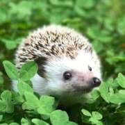 ヒメ日記 2026/03/12 11:30 投稿 麻宮わかば 美魔女エステ