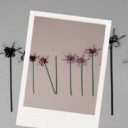 ヒメ日記 2025/11/01 08:07 投稿 麻宮わかば 麗しいマダム