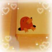 ヒメ日記 2025/11/19 08:24 投稿 麻宮わかば 麗しいマダム