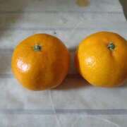 ヒメ日記 2025/11/28 18:13 投稿 麻宮わかば 麗しいマダム