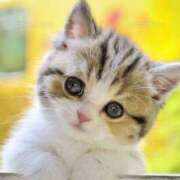 ヒメ日記 2026/03/19 10:25 投稿 麻宮わかば 麗しいマダム