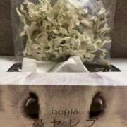 ヒメ日記 2026/01/25 23:42 投稿 湾内はゆる 色気あるワイフ