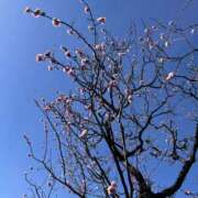 ヒメ日記 2026/02/15 23:30 投稿 湾内はゆる 色気あるワイフ