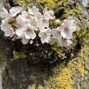 湾内はゆる ありがとうございました✨ 色気あるワイフ
