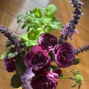 ヒメ日記 2025/11/10 12:06 投稿 湾内はゆる 美魔女エステ