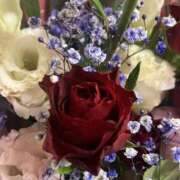 ヒメ日記 2026/01/23 11:40 投稿 湾内はゆる 美魔女エステ