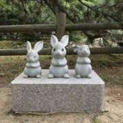 湾内はゆる ※無題 美魔女エステ