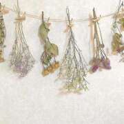 ヒメ日記 2025/11/12 00:04 投稿 小峰ちあき お姉さんCLUB