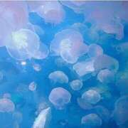 ヒメ日記 2025/11/12 21:04 投稿 小峰ちあき お姉さんCLUB