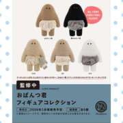 ヒメ日記 2025/11/14 23:03 投稿 小峰ちあき お姉さんCLUB