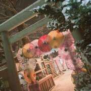 ヒメ日記 2026/01/04 19:49 投稿 小峰ちあき お姉さんCLUB