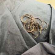 小峰ちあき 🦞 お姉さんCLUB