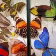 ヒメ日記 2026/01/28 22:48 投稿 小峰ちあき お姉さんCLUB