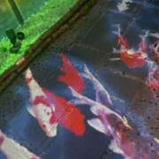 ヒメ日記 2026/04/12 09:43 投稿 小峰ちあき お姉さんCLUB