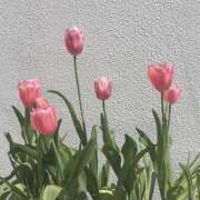 ヒメ日記 2026/04/17 10:19 投稿 小峰ちあき お姉さんCLUB