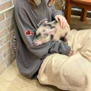 ヒメ日記 2026/04/19 01:12 投稿 小峰ちあき お姉さんCLUB