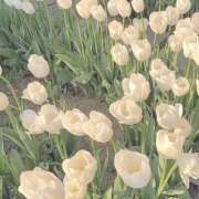 ヒメ日記 2026/04/19 21:48 投稿 小峰ちあき お姉さんCLUB