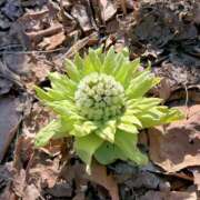 ヒメ日記 2026/04/27 23:27 投稿 小峰ちあき お姉さんCLUB