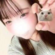 ヒメ日記 2025/10/16 14:15 投稿 みなり 所沢東村山ちゃんこ