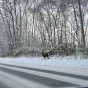 ヒメ日記 2025/12/15 17:55 投稿 ひな 和風パブ大江戸