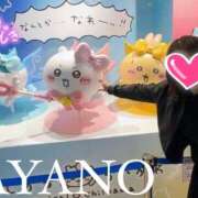 ヒメ日記 2025/11/24 08:36 投稿 彩野(あやの) モアグループ西川口人妻城