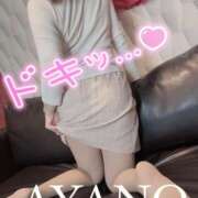 ヒメ日記 2025/11/30 14:35 投稿 彩野(あやの) モアグループ西川口人妻城