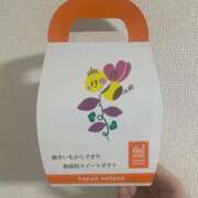 ヒメ日記 2025/11/15 00:50 投稿 サラ 甲府人妻城